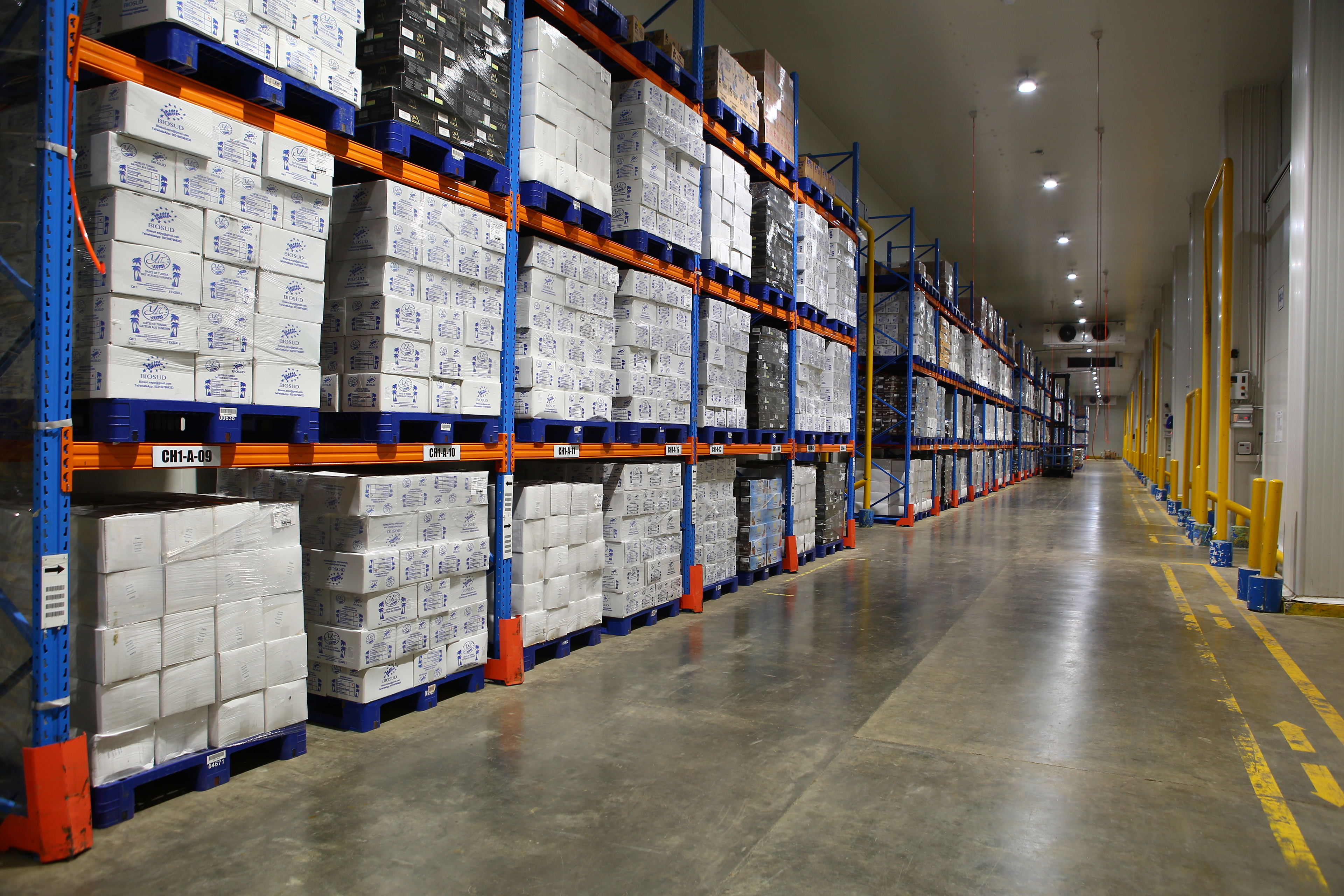 Mengenal Cara Kerja Cold Storage serta Manfaat Penggunaannya