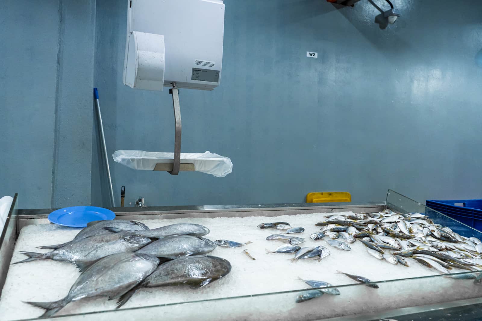 Cold Storage, Solusi Efektif untuk Bisnis Seafood Anda!