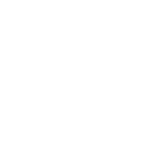 shipping report