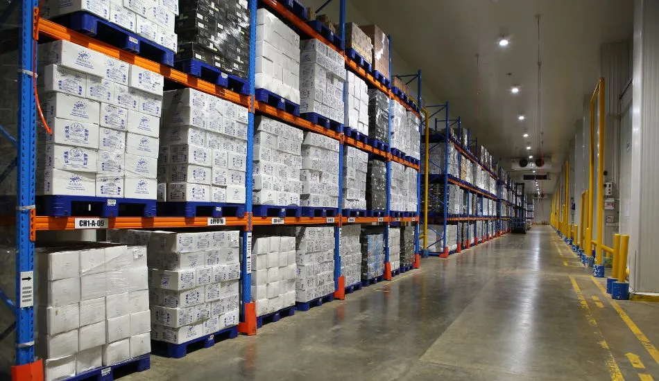 Cold Storage Explained: Mechanism and Advantages