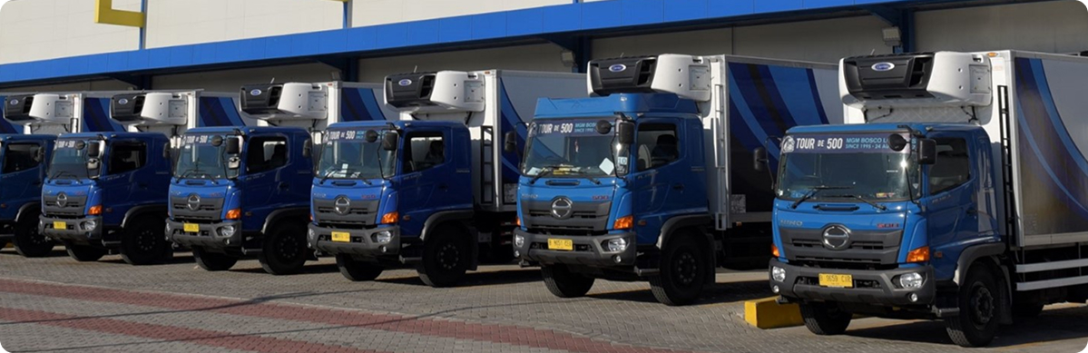 MGM Bosco Logistics distribution fleet