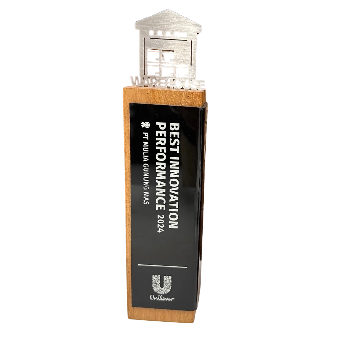 Best Innovation Performance
