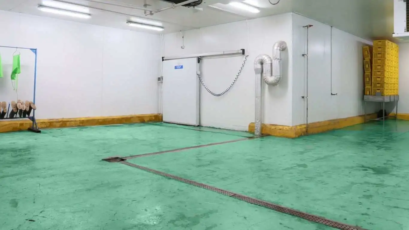 Air Blast Freezer
