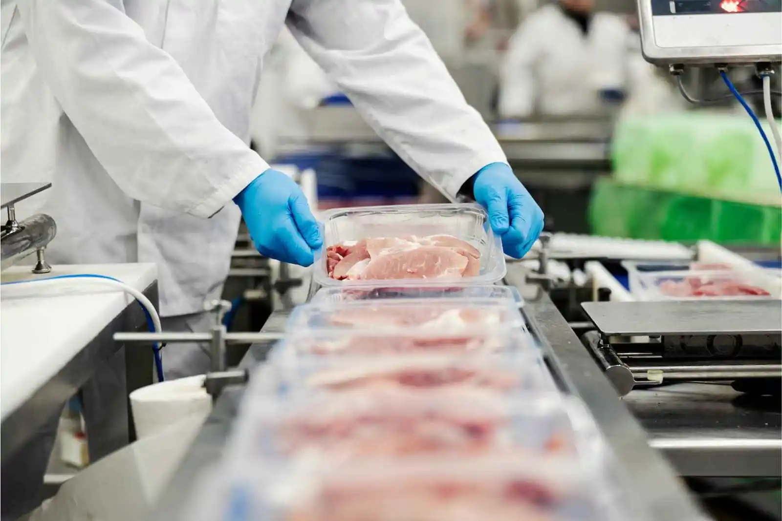 Pengaruh Kualitas Makanan terhadap Kesuksesan Bisnis Kuliner