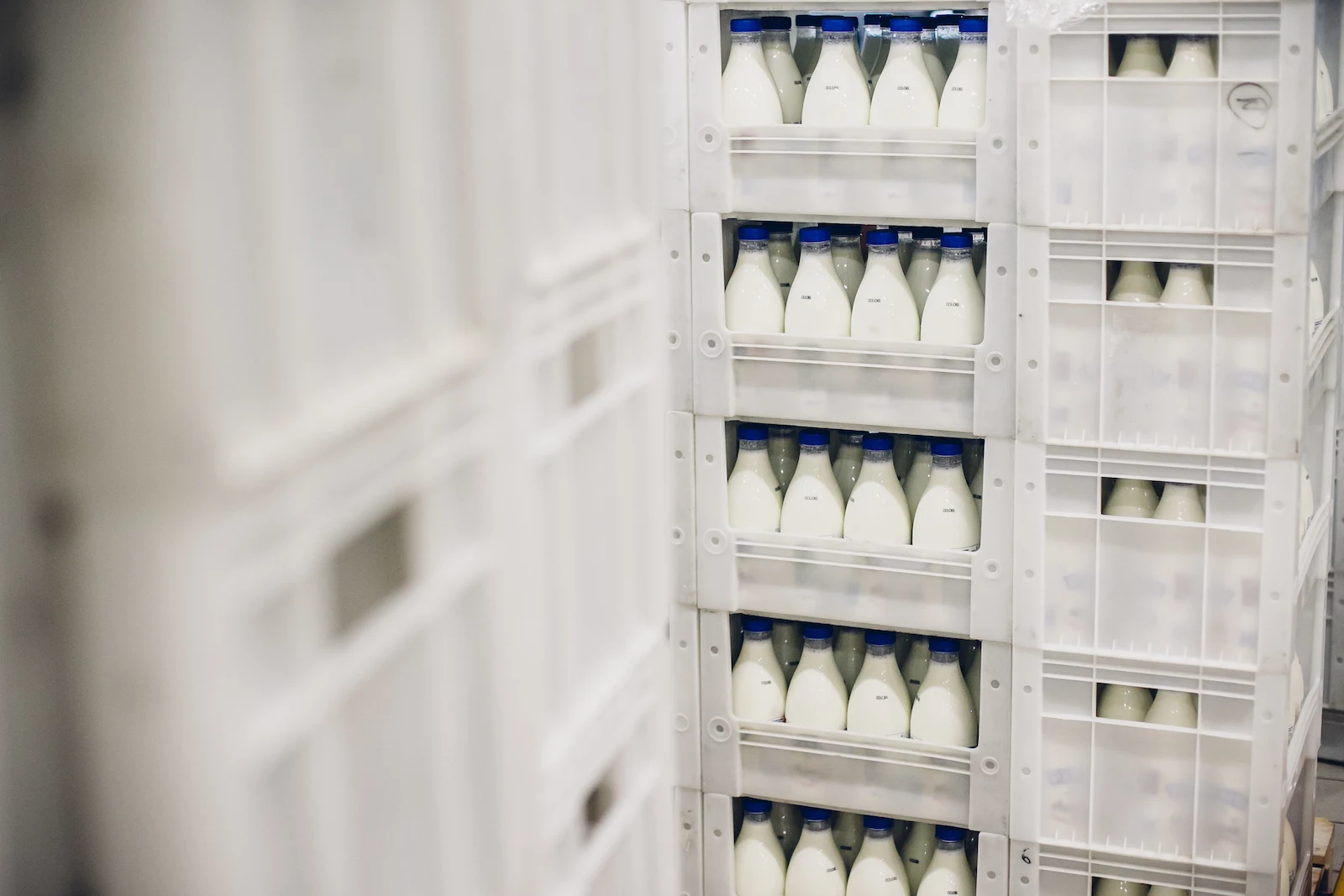 Peran Cold Storage untuk Produk Dairy dalam Skala Industri